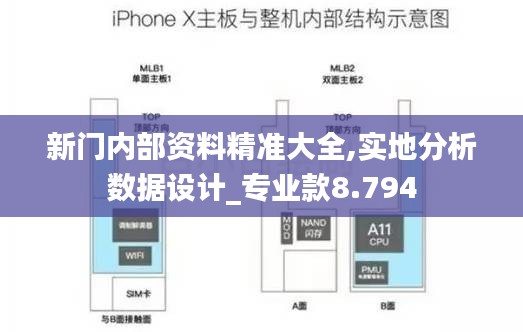 新门内部资料精准大全,实地分析数据设计_专业款8.794