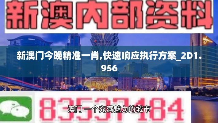 新澳门今晚精准一肖,快速响应执行方案_2D1.956