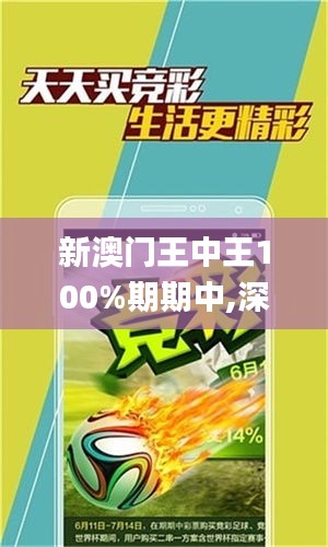 新澳门王中王100%期期中,深层设计数据策略_Premium10.104