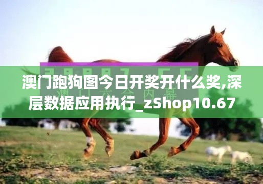 澳门跑狗图今日开奖开什么奖,深层数据应用执行_zShop10.676