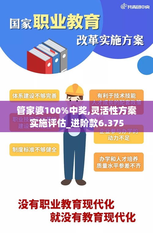 管家婆100%中奖,灵活性方案实施评估_进阶款6.375