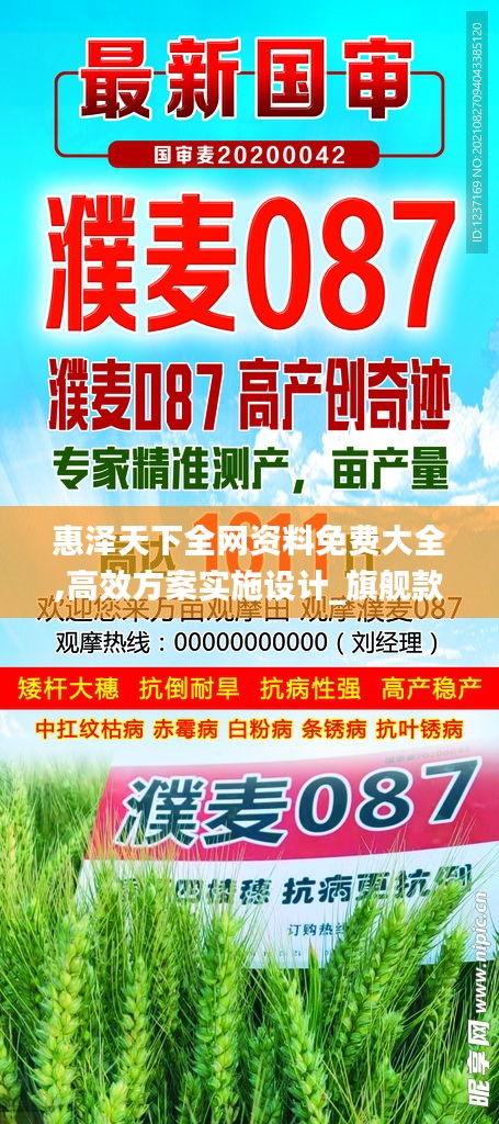 惠泽天下全网资料免费大全,高效方案实施设计_旗舰款5.437