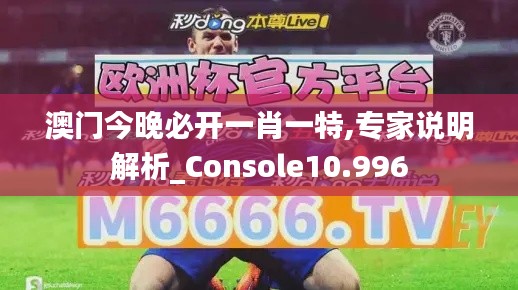 澳门今晚必开一肖一特,专家说明解析_Console10.996