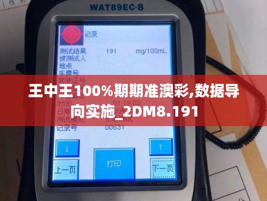 王中王100%期期准澳彩,数据导向实施_2DM8.191