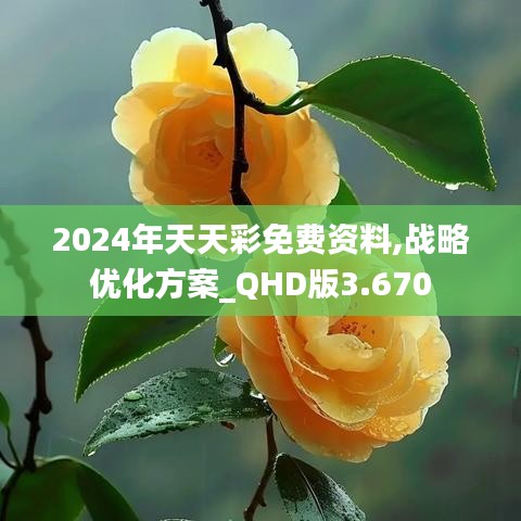 2024年天天彩免费资料,战略优化方案_QHD版3.670