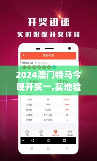 2024澳门特马今晚开奖一,实地验证数据计划_潮流版2.376