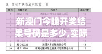 新澳门今晚开奖结果号码是多少,实际案例解释定义_精英款9.411