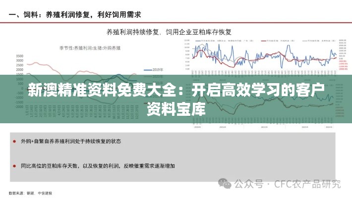 新澳精准资料免费大全：开启高效学习的客户资料宝库