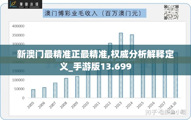 新澳门最精准正最精准,权威分析解释定义_手游版13.699