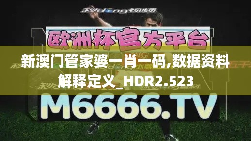 新澳门管家婆一肖一码,数据资料解释定义_HDR2.523