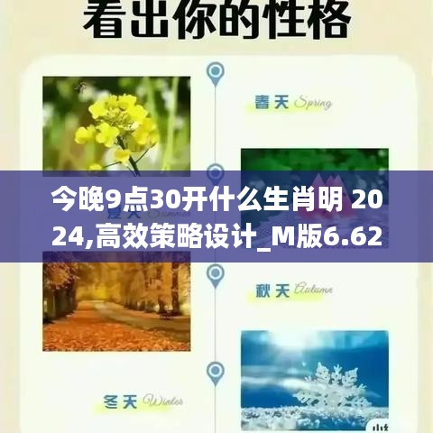 今晚9点30开什么生肖明 2024,高效策略设计_M版6.624