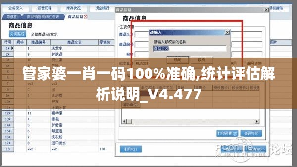 管家婆一肖一码100%准确,统计评估解析说明_V4.477