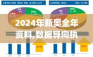 2024年新奥全年资料,数据导向执行解析_XP9.586