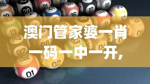 澳门管家婆一肖一码一中一开,实证说明解析_投资版4.651