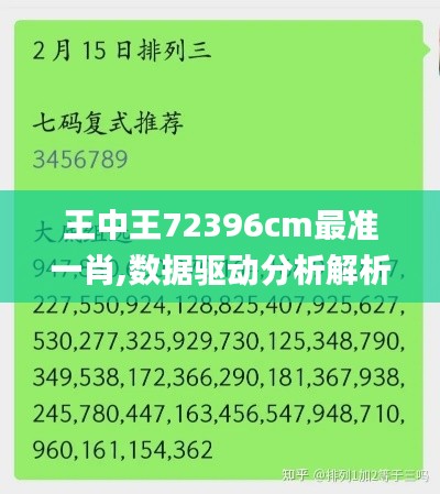 王中王72396cm最准一肖,数据驱动分析解析_Phablet1.656