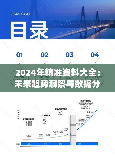 2024年精准资料大全：未来趋势洞察与数据分析的宝藏