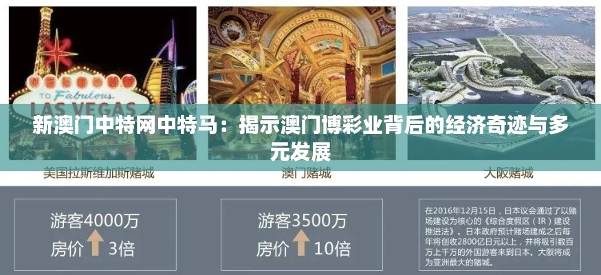 新澳门中特网中特马：揭示澳门博彩业背后的经济奇迹与多元发展