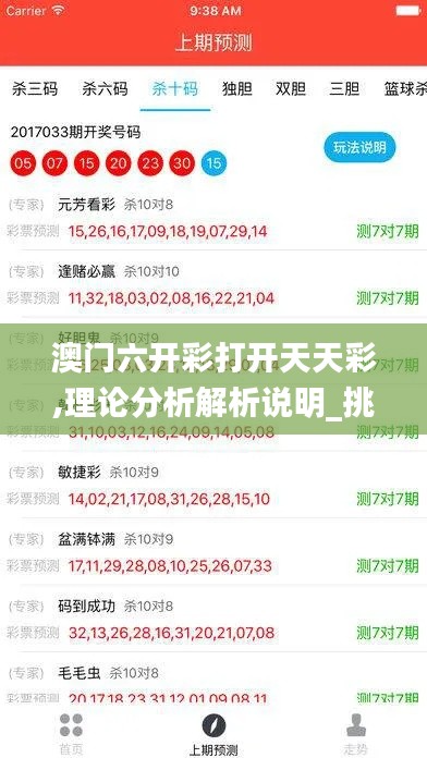 澳门六开彩打开天天彩,理论分析解析说明_挑战款14.778