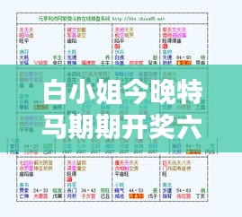 白小姐今晚特马期期开奖六：诠释竞技与命运的交织