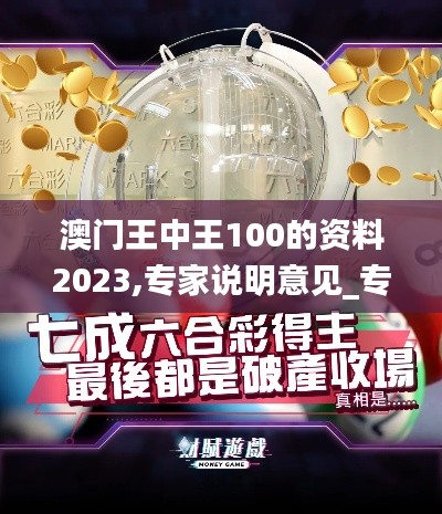 澳门王中王100的资料2023,专家说明意见_专属版5.121