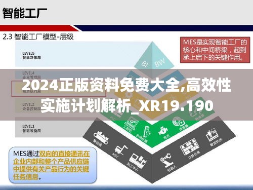 2024正版资料免费大全,高效性实施计划解析_XR19.190