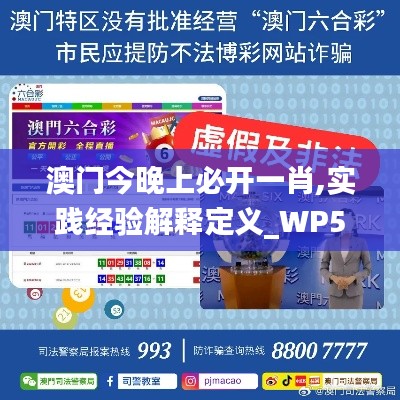 澳门今晚上必开一肖,实践经验解释定义_WP5.844