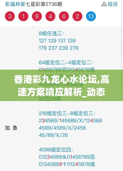 香港彩九龙心水论坛,高速方案响应解析_动态版7.850